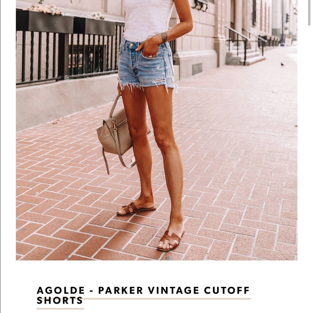 Agolde Shorts Size 24